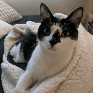 Meet your Posher, Katie